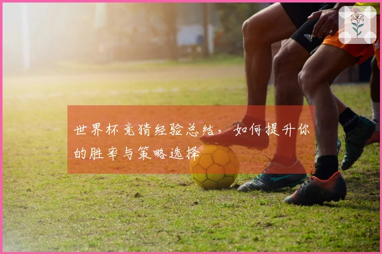 世界杯竞猜经验总结，如何提升你的胜率与策略选择