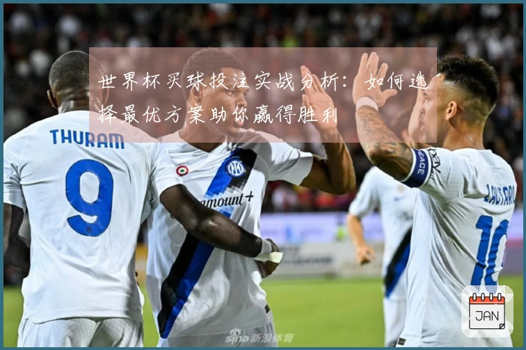 世界杯买球投注实战分析：如何选择最优方案助你赢得胜利