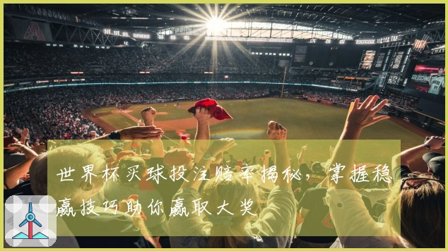 世界杯买球投注赔率揭秘，掌握稳赢技巧助你赢取大奖