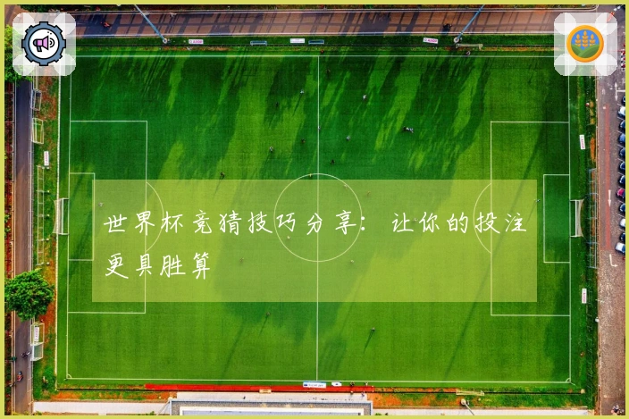 世界杯竞猜技巧分享：让你的投注更具胜算