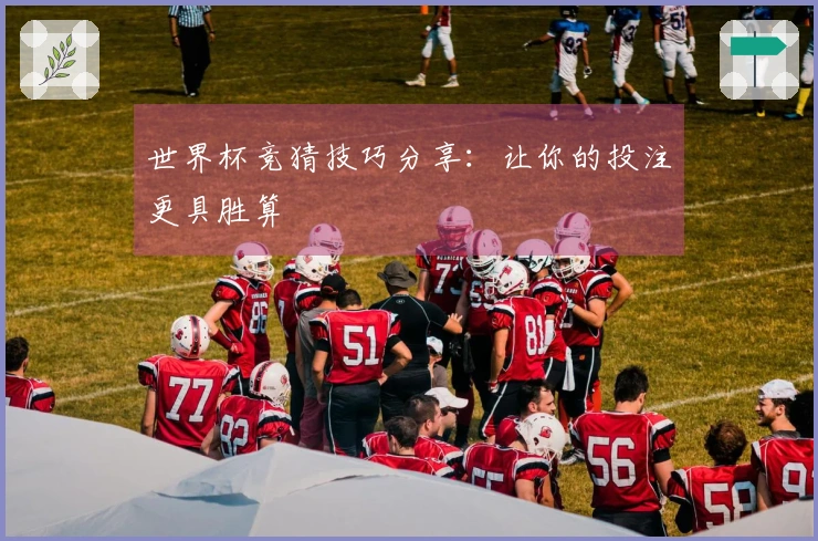 世界杯竞猜技巧分享：让你的投注更具胜算