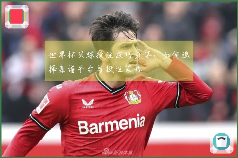 世界杯买球投注技巧分享，如何选择靠谱平台与投注策略